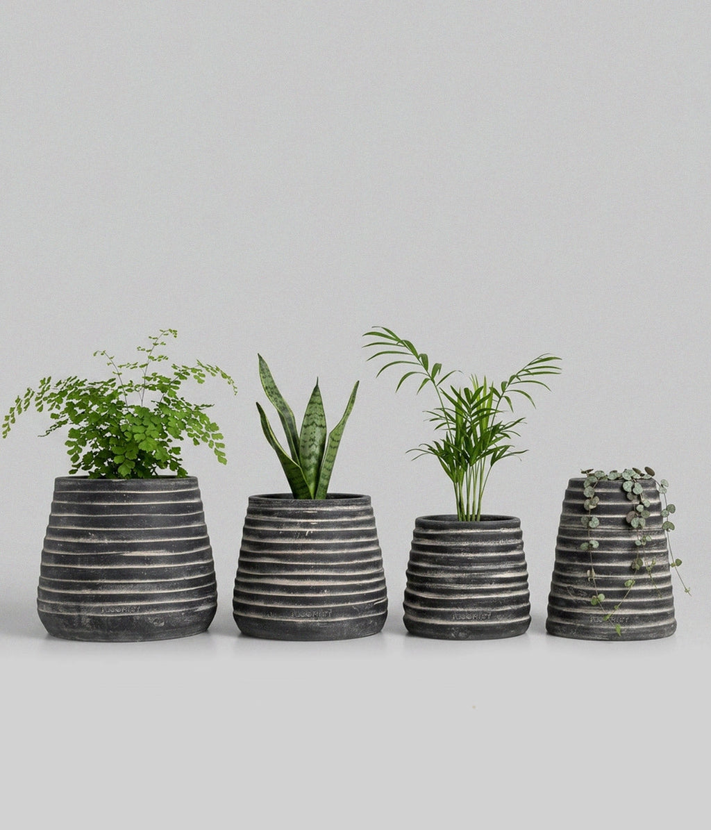 Ridge Terracotta Planter in Dark Charcoal Wash