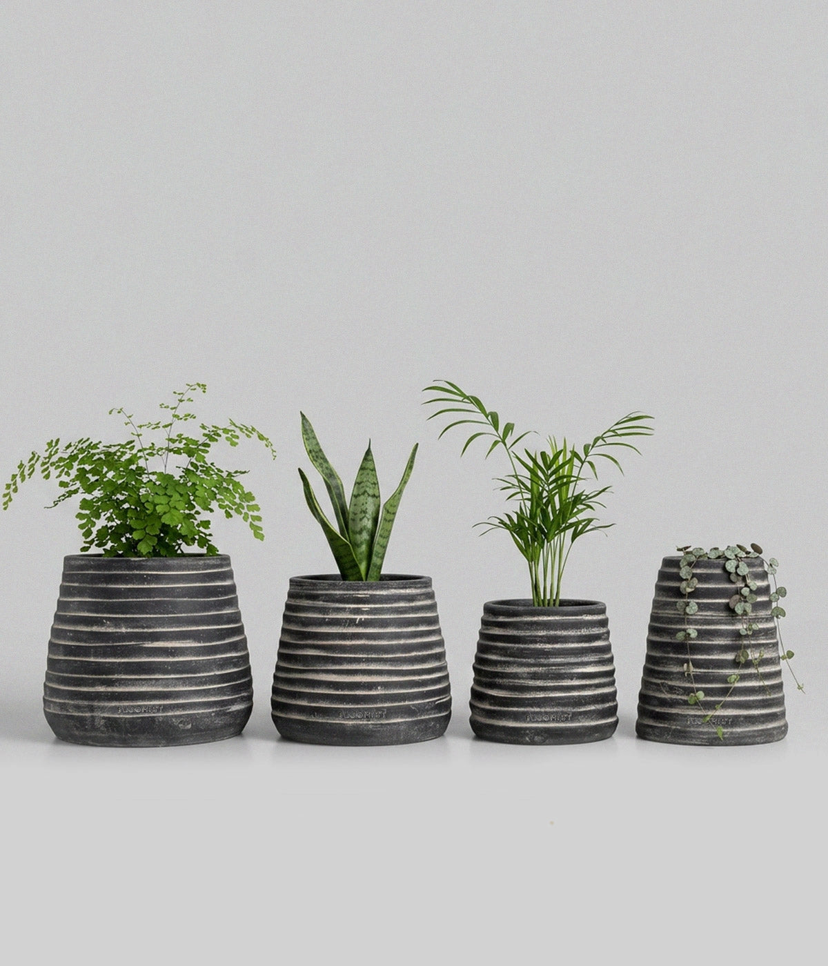 Ridge Terracotta Planter in Dark Charcoal Wash