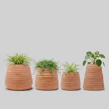 Ridge Terracotta Planter in White Wash