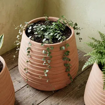 Ridge Terracotta Planter in White Wash