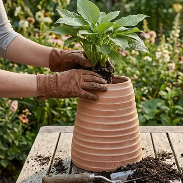 Ridge Terracotta Planter in White Wash