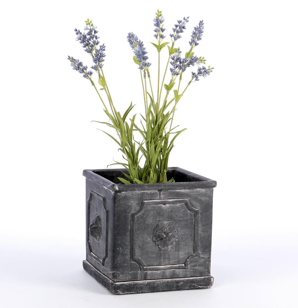 Square Cement Planter