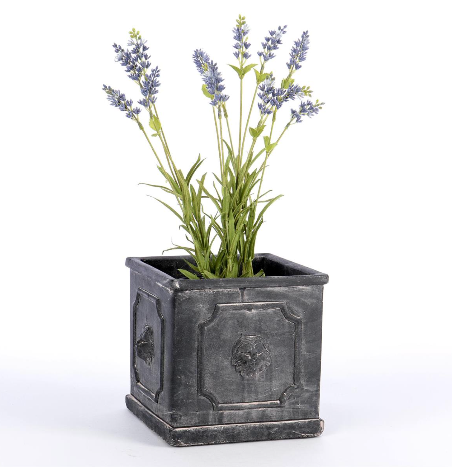 Square Cement Planter