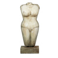 White Marble Bust, Clothed