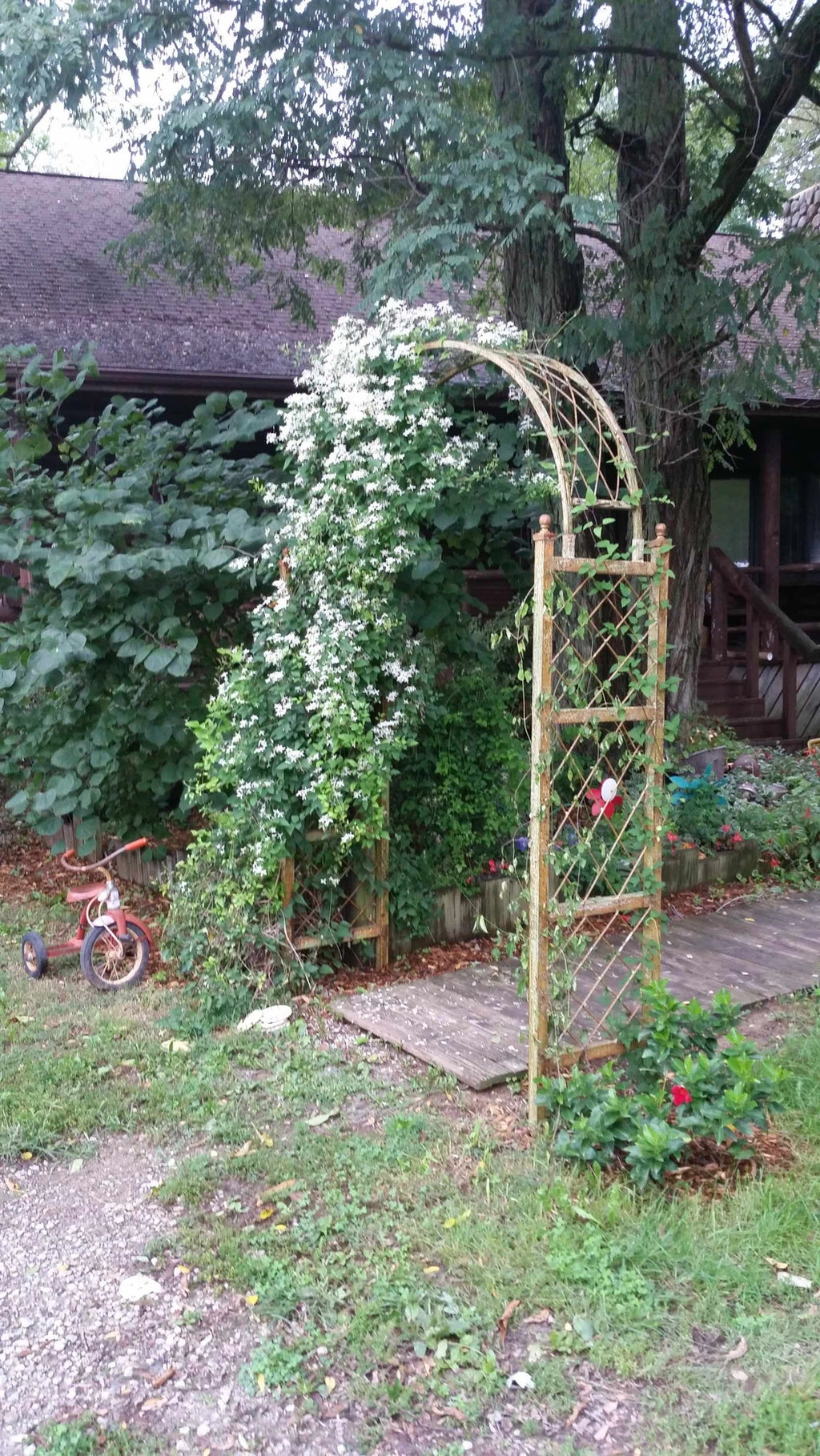 Wrought Iron Round Top Arbor in Natural Rust