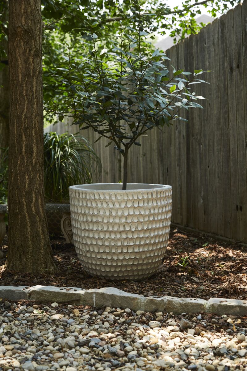 Nellie Ceramic Pots